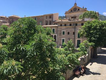 Trees growing in front of building