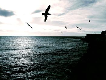 Silhouette birds flying over sea against sky