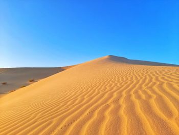 Sand dunes waves in desert