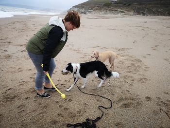 Woman playing dogs at beach