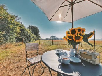 High angle view of sunflowers on table