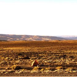 Rear view of woman in desert