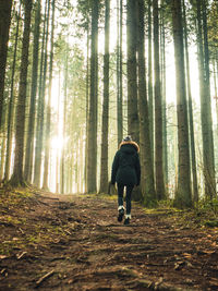 Rear view of woman walking on field amidst trees in forest