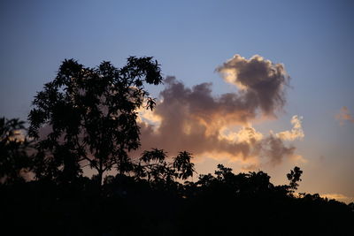 Low angle view of silhouette trees against sky during sunset