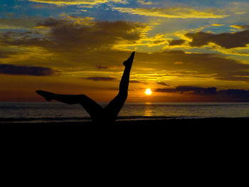 Silhouette bird on beach against sky during sunset