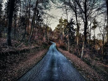 Road amidst trees in forest against sky