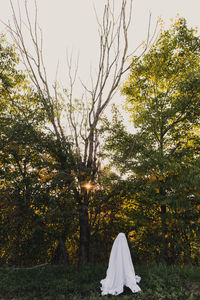 Ghost child standing in front of dead tree at sunset