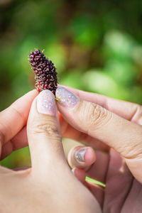 Close-up of woman hands holding fruit