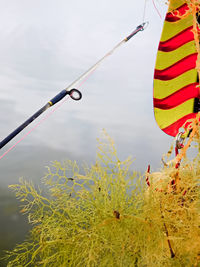 Low angle view of multi colored hanging on rope against sky