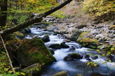 Stream flowing through rocks in forest