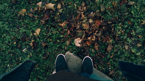 Low section of person standing by autumn leaves