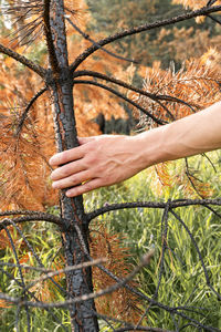 Cropped hand of man holding tree trunk