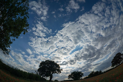 Low angle view of silhouette trees on field against sky