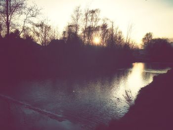 Sun shining through trees