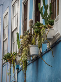 La palma island in spain