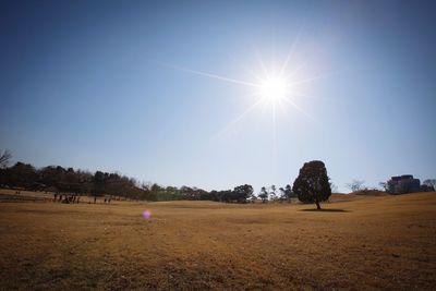 View of trees on landscape against blue sky