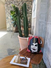 Potted plant on table by window