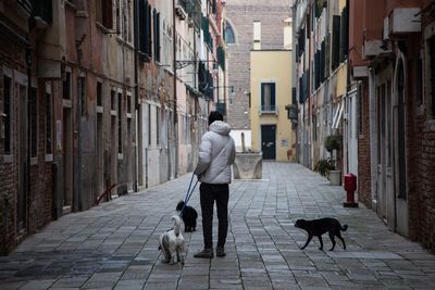 Rear view of man walking with dog