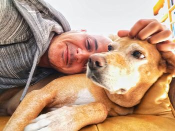 Portrait of dog relaxing on bed at home