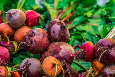 Close-up of beets for sale