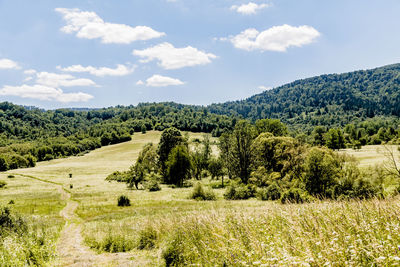 Scenic view of landscape against sky