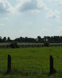 Scenic view of field against sky