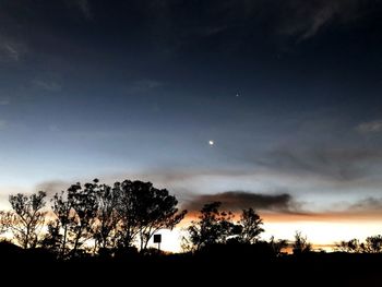 Silhouette trees against sky during sunset