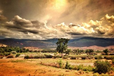 Scenic view of landscape against cloudy sky