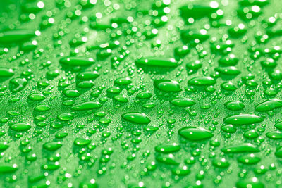 Full frame shot of water drops on leaf