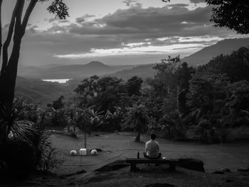 Rear view of man sitting by trees against sky