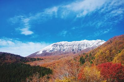 Scenic view of snowcapped mountains against sky during autumn