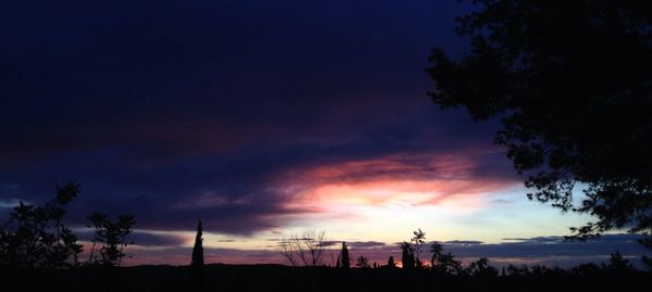 Silhouette of trees at sunset