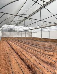 Scenic view of greenhouse against sky