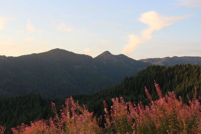 Scenic view of mountains against sky during sunset