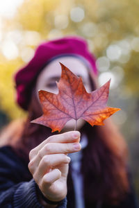 Close-up of hand holding maple leaves during autumn