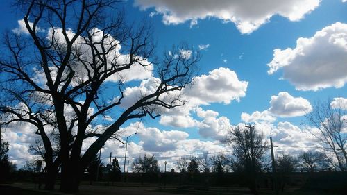 Low angle view of trees against blue sky