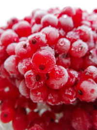 Close-up of wet red berries