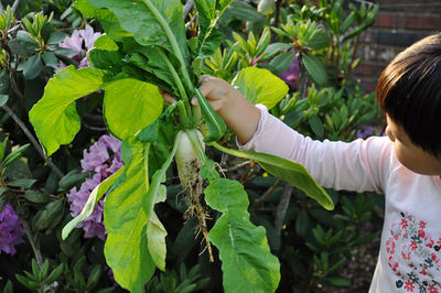 Side view of girl holding fresh green plants