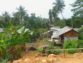 Houses with trees in background