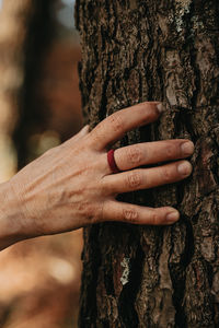 Close-up of hands on tree trunk