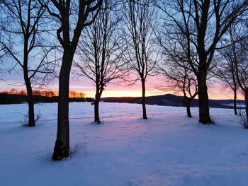 Bare trees on snow covered field against sky during sunset