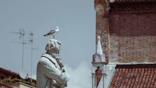 Bird on statute in venice