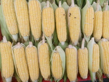 Directly above shot of corns for sale at market