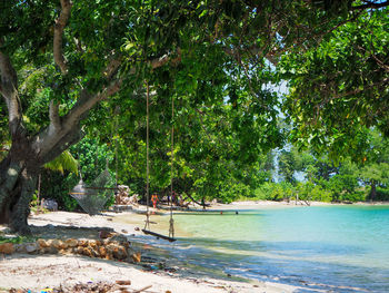 Scenic view of sea against trees in forest