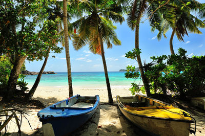 Boats moored by trees at beach during sunny day