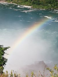 Scenic view of rainbow over trees