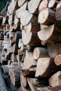 Full frame shot of logs in forest