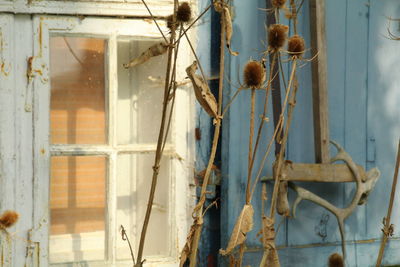 Close-up of window in abandoned building