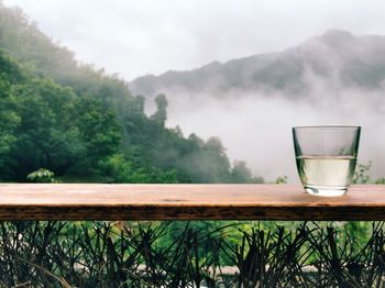 Close-up of drinking glass on table against trees