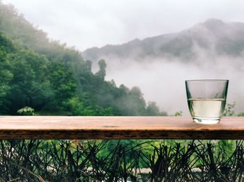 Close-up of tea on wooden table against trees during foggy weather